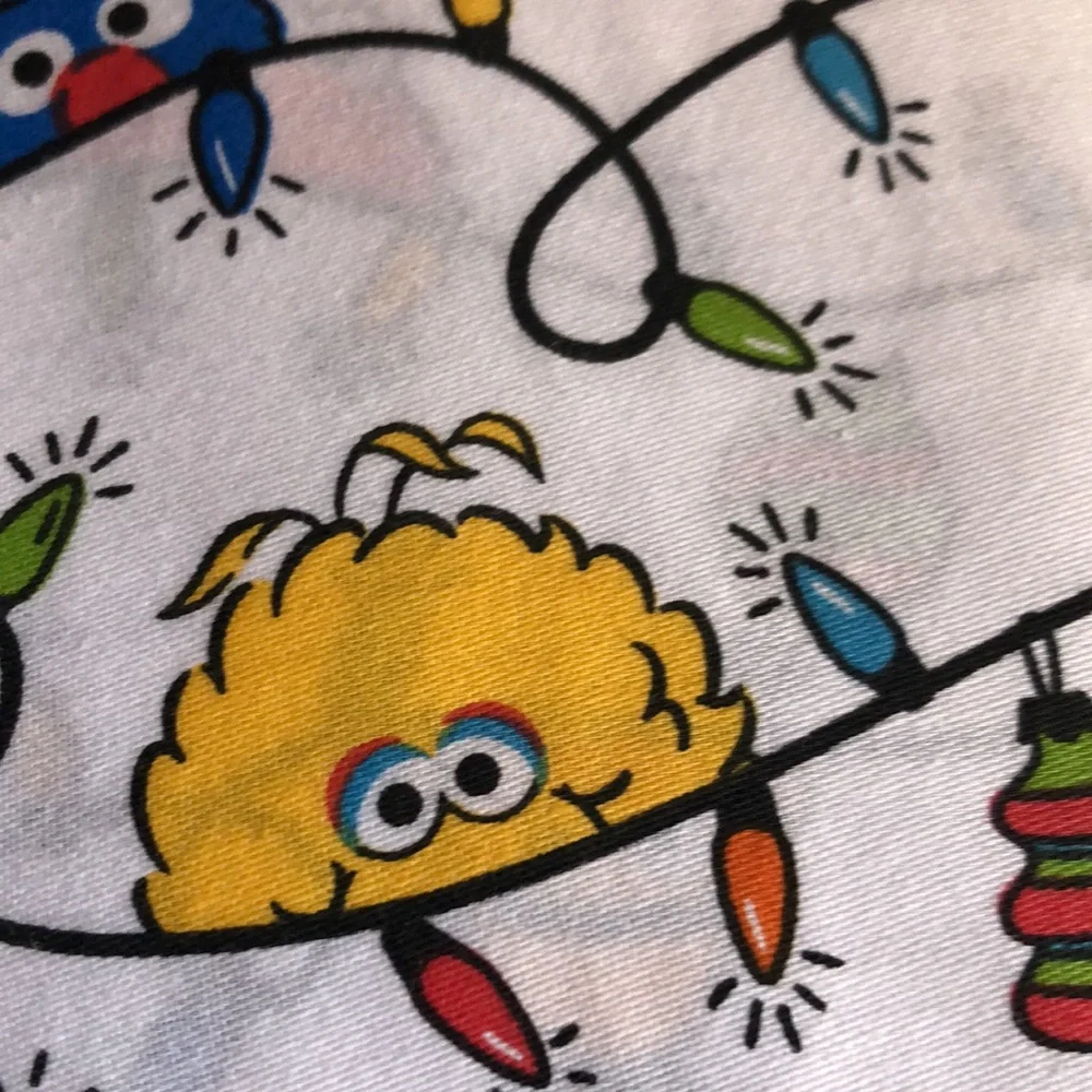 Sesame Street Colorful Christmas Holiday Twin Sheet Set